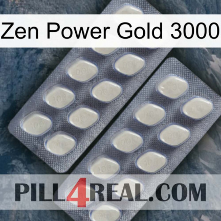 Zen Power Gold 3000 07